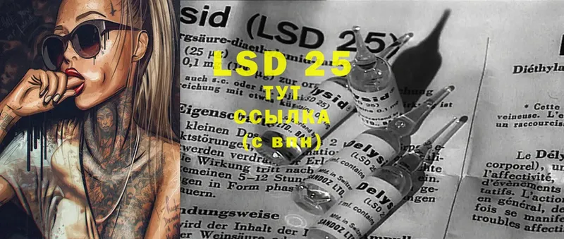 закладка  Шагонар  LSD-25 экстази ecstasy 